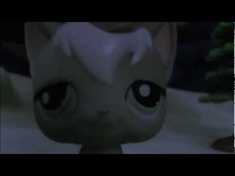 Do You Know Cat Training?