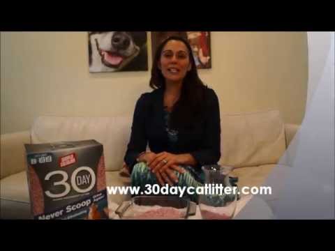 Simple Solution Cat Litter Jenn Fadal Pack Mom